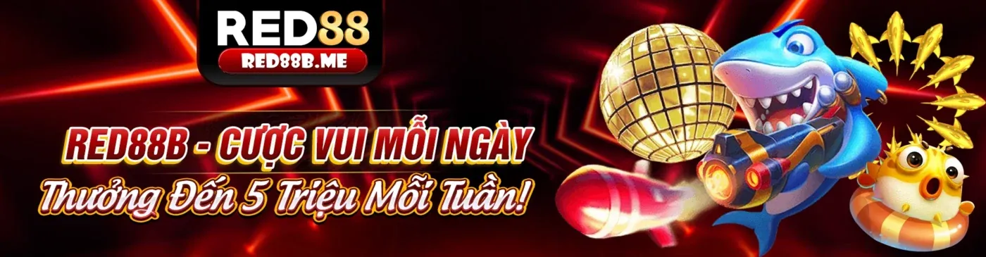 Hình ảnh đại diện Điều khoản & Điều kiện của 99vz apk