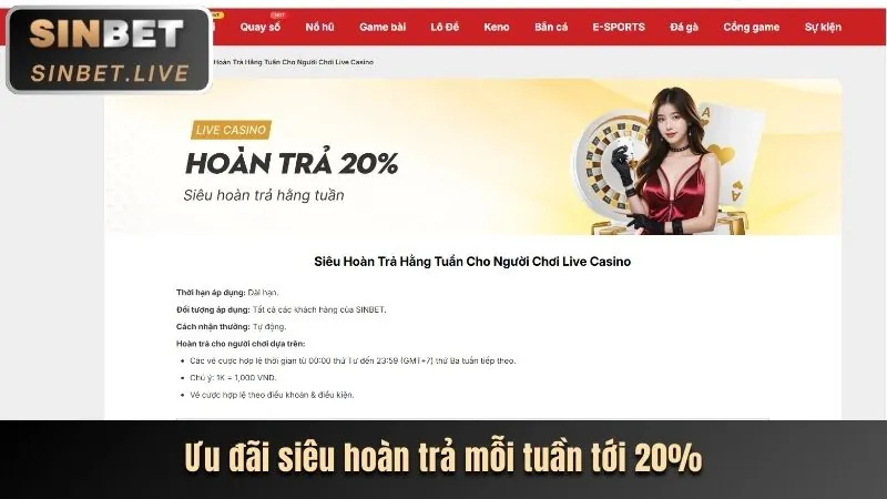 Chương trình hoàn trả hàng ngày/tuần 99vz Apk